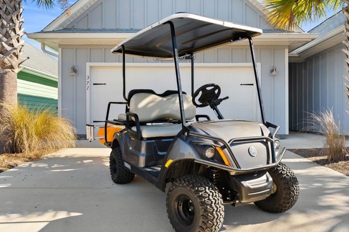 Thing To Do Golf Cart